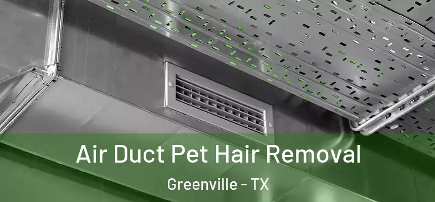 Air Duct Pet Hair Removal Greenville - TX