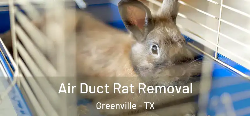 Air Duct Rat Removal Greenville - TX