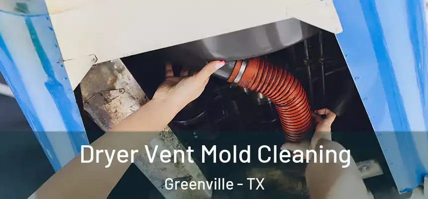  Dryer Vent Mold Cleaning Greenville - TX