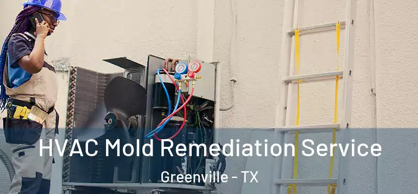 HVAC Mold Remediation Service Greenville - TX