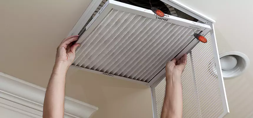 Preventive Cockroach-Proofing for Ducts in Greenville