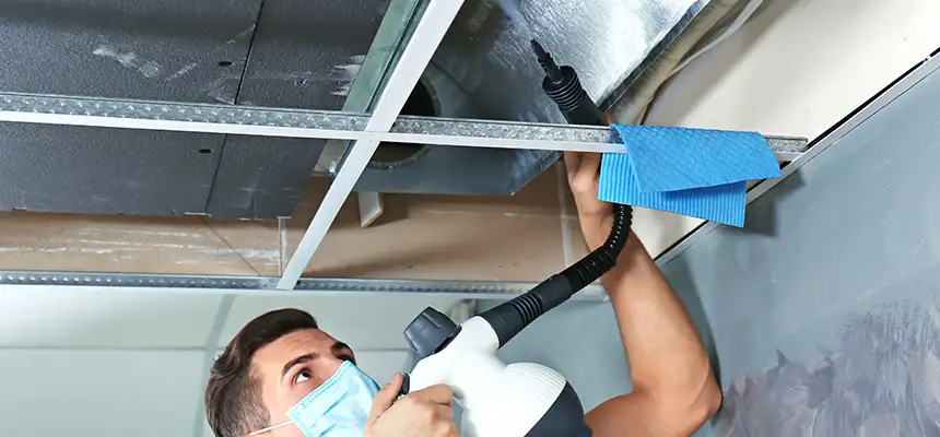 Our Air Duct Rodent Removal Services in Greenville, TX