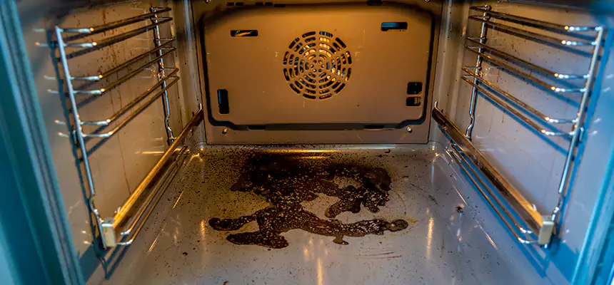 Our Dryer Vent Mold Cleaning Services in Greenville, TX