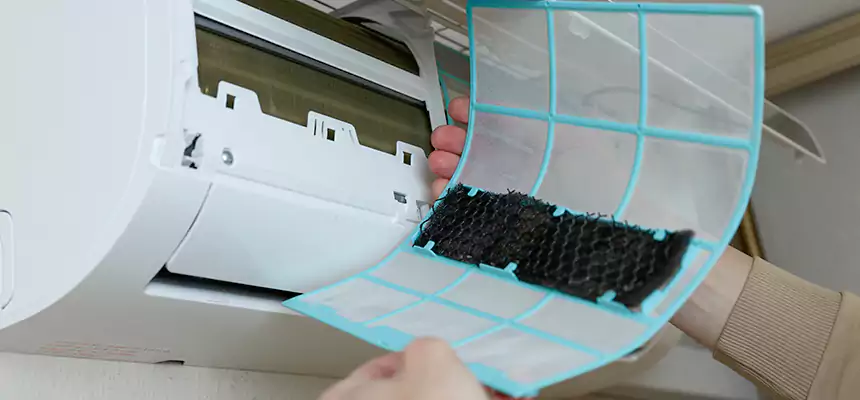 Gentle Ductwork Odor-Control Pet Dander Duct Cleaning in Greenville, TX