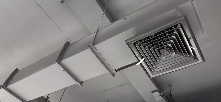 Our Rodent Droppings In Vents Services in Greenville, TX