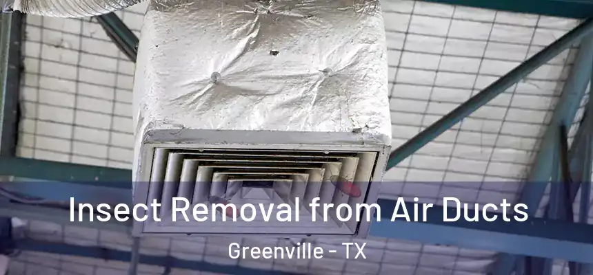 Insect Removal from Air Ducts Greenville - TX