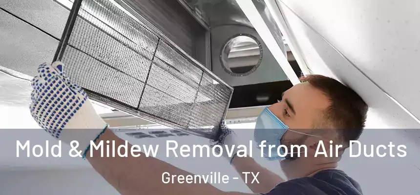  Mold & Mildew Removal from Air Ducts Greenville - TX