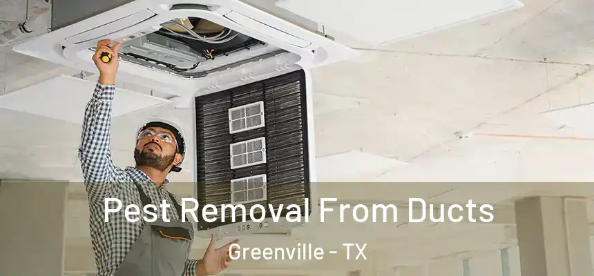  Pest Removal From Ducts Greenville - TX