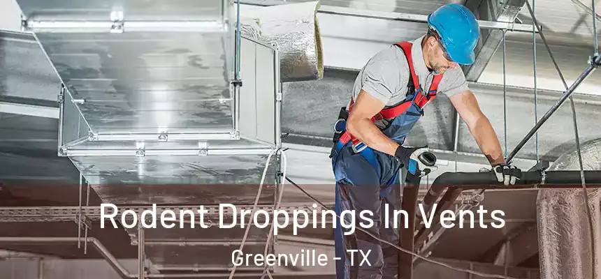 Rodent Droppings In Vents Greenville - TX