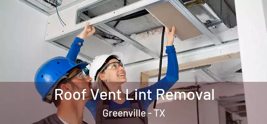 Roof Vent Lint Removal Greenville - TX