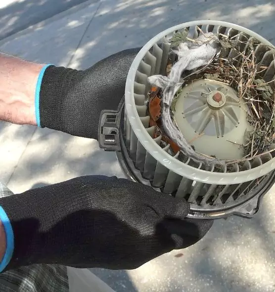 About Air Duct Rat Removal in Greenville, TX