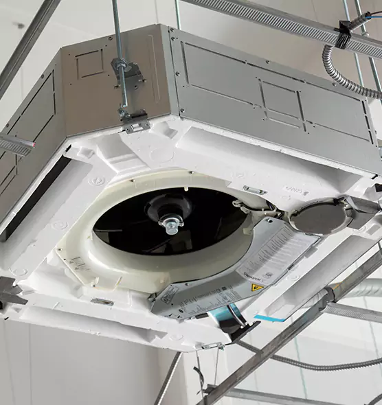 Professional Roof Vent Lint Removal Greenville, TX