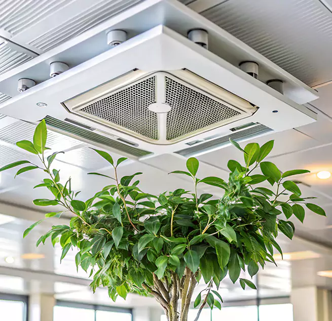 Why Homeowners & Businesses Trust Us in Greenville, TX?