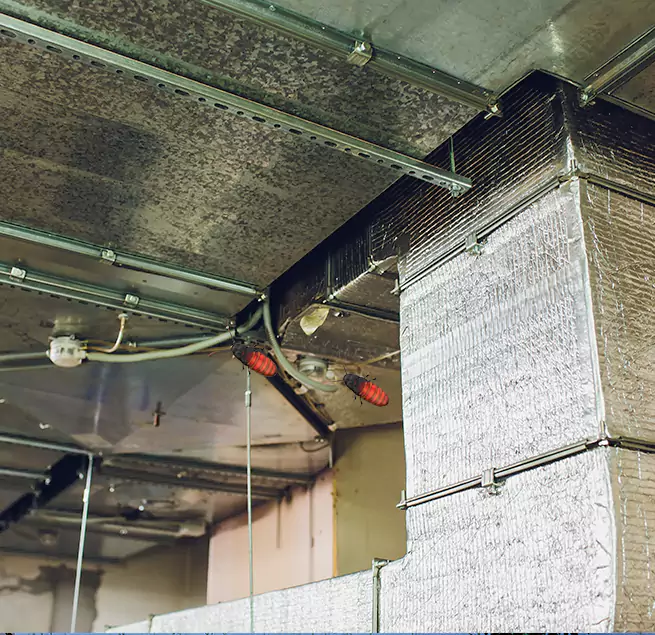 Why Homeowners & Businesses Trust Us Greenville, TX?