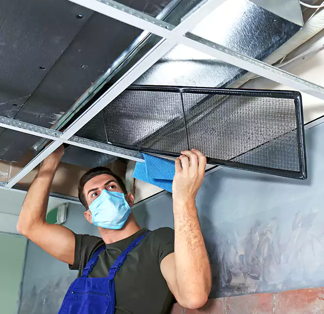 Why Homeowners Businesses Trust Us in Greenville, TX